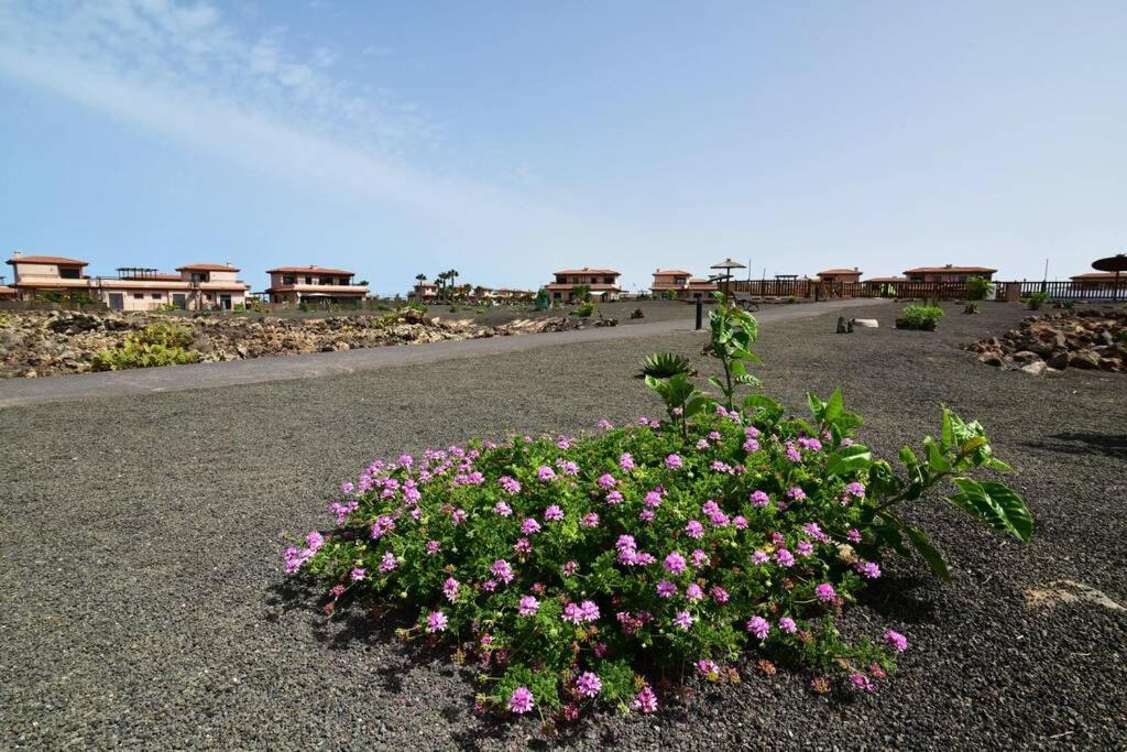 Casa Platanera!! Villa Lajares Eksteriør bilde